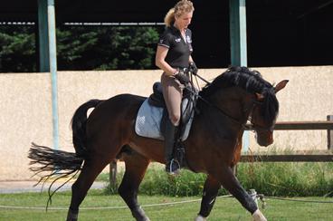 écurie de dressage Lyon villefranche Macon