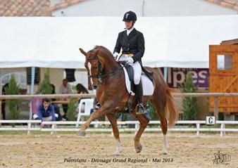 écurie de dressage Lyon villefranche Macon