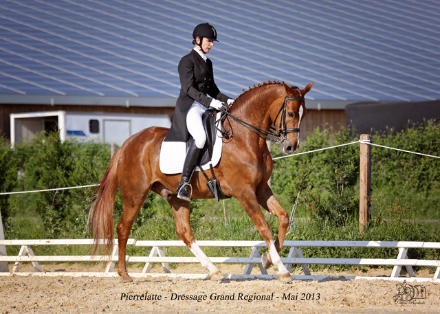 Ecurie de dressage Saint-Etienne des Oullières