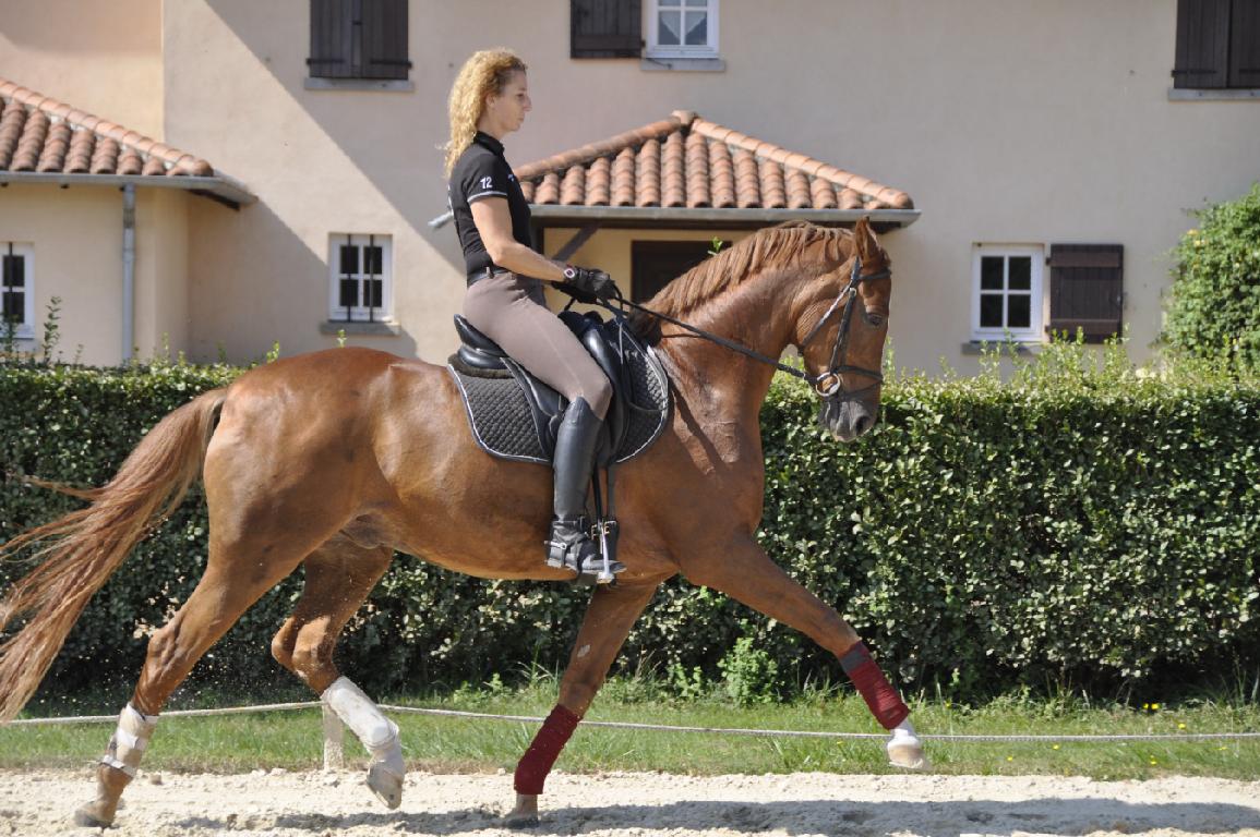 Ecurie de dressage Saint-Etienne des Oullières