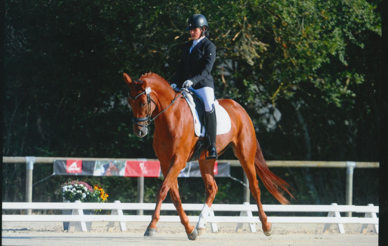 Ecurie de dressage Villefranche