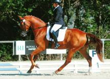 Ecurie de dressage Macon