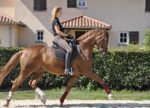 Ecurie de dressage Saint-Etienne des Oullières