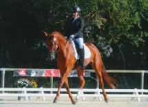 Ecurie de dressage Villefranche
